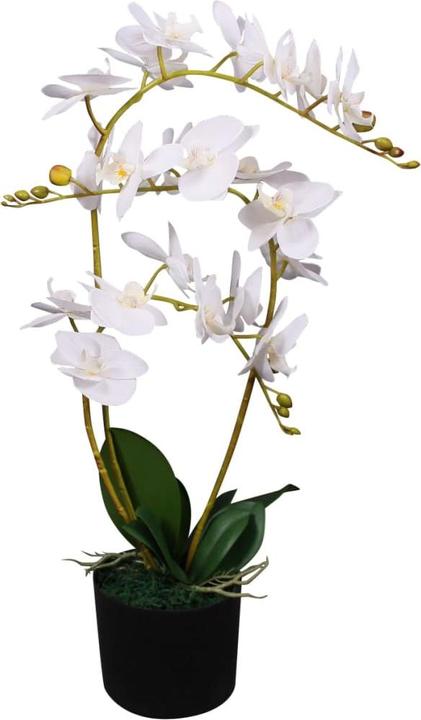 Actual product image VidaXL Emmey (65 cm)