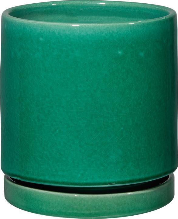 Image du produit micasa Amaya