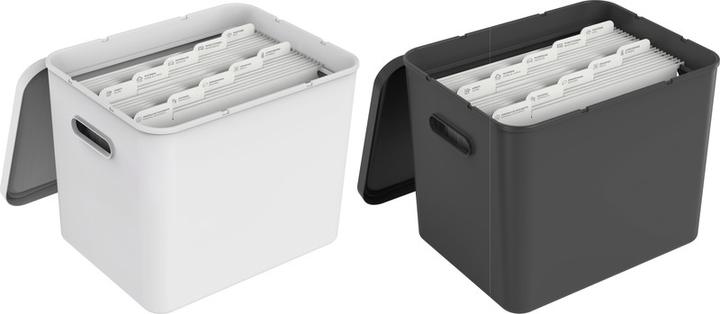 Produktbild Rotho Archivbox My Paper Basic (A4)