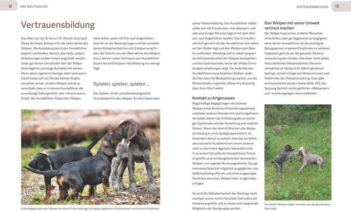 Image du produit Der Jagdgebrauchshund-Jährling (Allemand, Uwe Tabel, 2023)