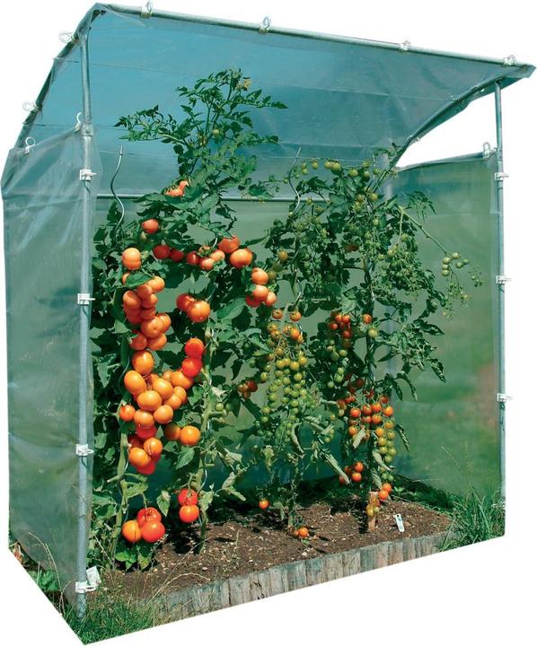 Produktbild Neogard Tomatenhaus