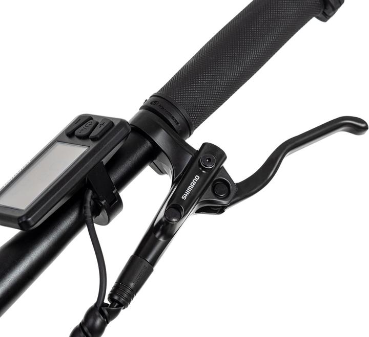 Immagine prodotto Adore Xpose (51 cm)
