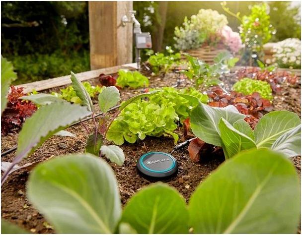 Image du produit Gardena Capteur d'humidité du sol (Sonde d'irrigation)
