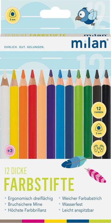 Image du produit 12 crayons de couleur épais ergonomiques, à trois faces (Multicolore, 12 x)