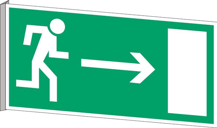 Produktbild Brady BI 359-297X148-B0455, Fahnen- und Winkelschilder - Notausgang