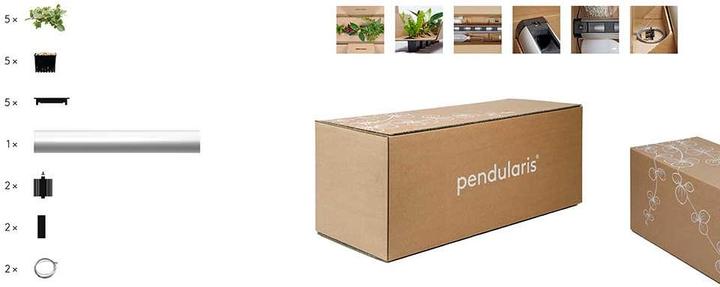 Produktbild Pendularis Set 0.5 Rapid (50 cm)