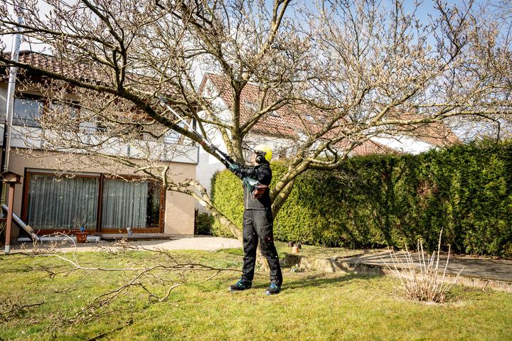 Actual product image Metabo MA-MS 25 (Battery chain saw)