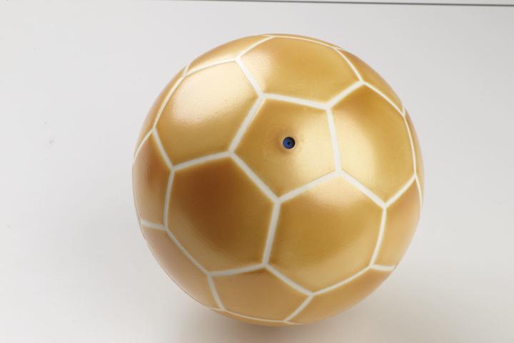 Produktbild Trial Trainingsball (5)