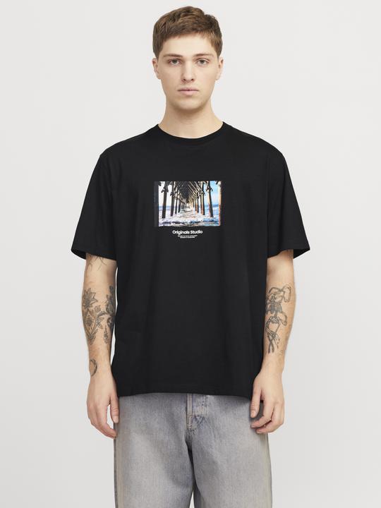 Produktbild Jack & Jones Jorvesterbro Picture Tee Ss Crew Neck Sn (M)