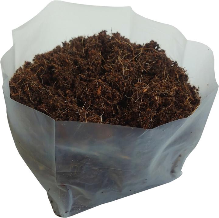 Actual product image Siena Garden Kokosquellerde (1 l, Soil without peat)