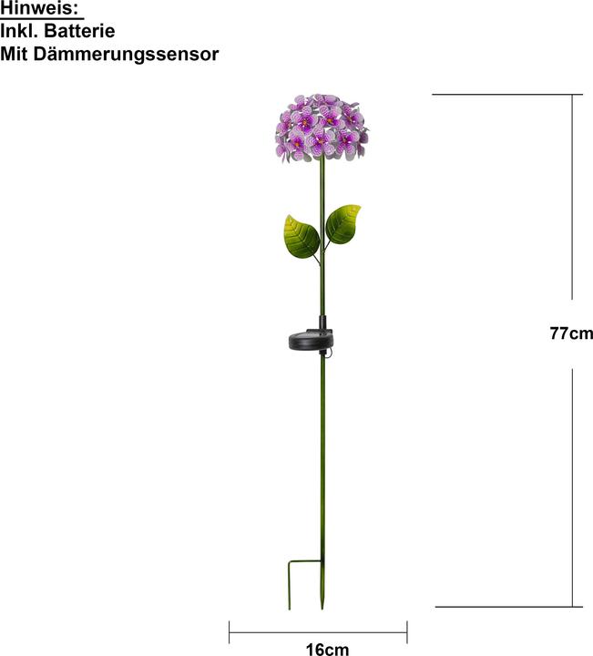 Image du produit Star Trading Hortensia (IP44)
