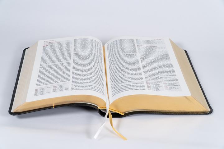 Actual product image Neues Leben. Die Bibel, Standardausgabe, Leder mit Goldschnitt (German, 2025)