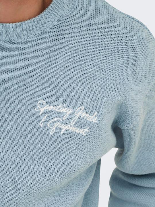 Produktbild Only & Sons ONSGABIR Pullover Strickpullover (XXL)