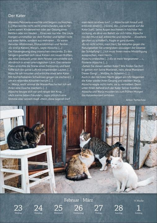 Actual product image Harenberg Literaturkalender Katzen Wochen-Kulturkalender 2026 (German)