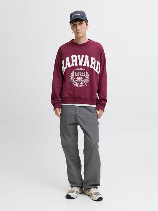 Actual product image Jack & Jones Wide Leg Fit Klassische Hosen Klassische Hosen (W31/L30)