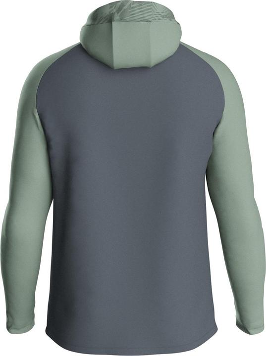 Image du produit JAKO Veste à capuche Iconic (38)