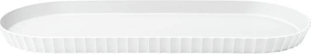 Arctic White