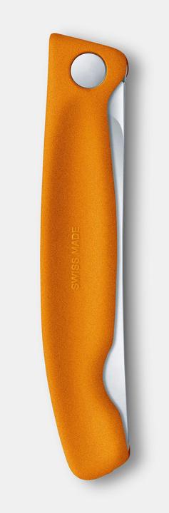 Actual product image Victorinox Swiss Classic (11 cm)