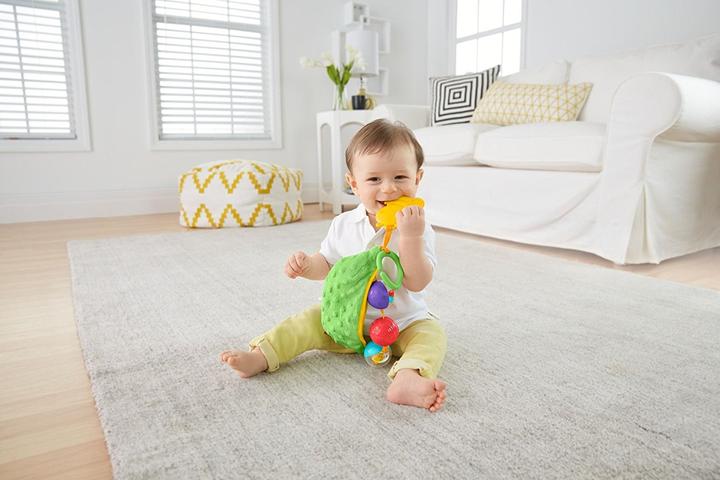 Produktbild Fisher-Price Entdeckspass-Kugeln