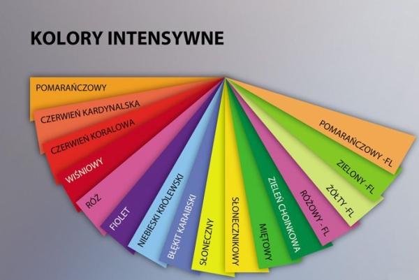 Actual product image Clairefontaine Universal paper Trophée coloured (80 g/m², 500 x, A4)