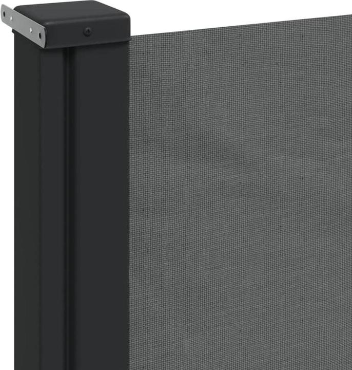 Actual product image VidaXL Extendable side awning (5 m)