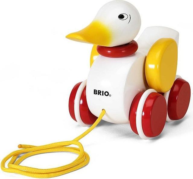 Brio canard