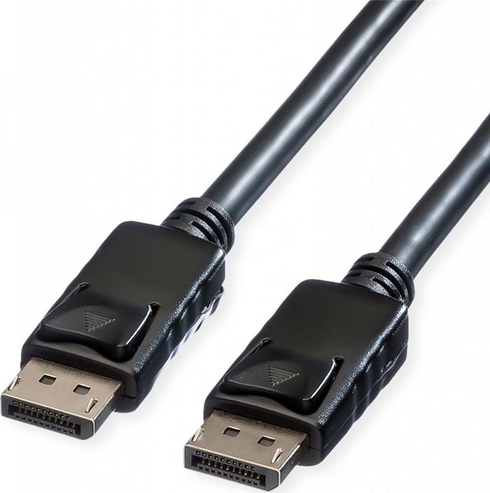 Immagine prodotto Roline DisplayPort — DisplayPort (1 m, DisplayPort)