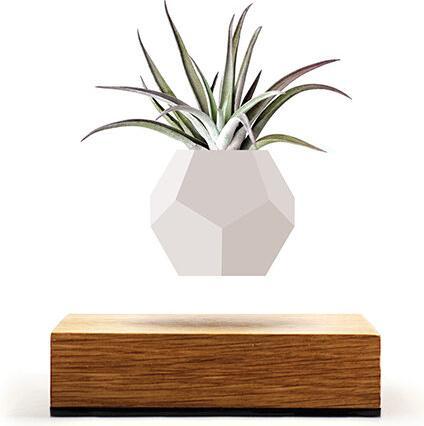 Image du produit Flyte LYFE Planter (154 cm)