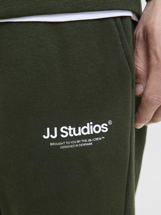 Actual product image Jack & Jones Regular Fit Relaxed Fit Hosen Relaxed Fit Hosen (XS)