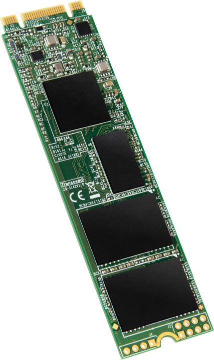Actual product image Transcend 830S (4000 GB, M.2 2280)
