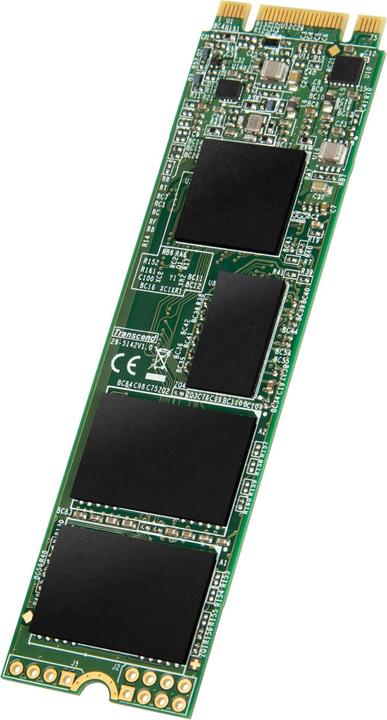 Actual product image Transcend 830S (4000 GB, M.2 2280)
