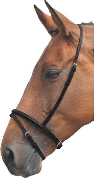 Actual product image Universal Textiles Leather noseband with locking strap