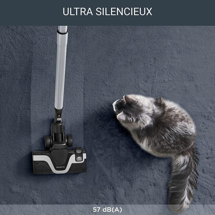 Actual product image Rowenta Silence Force Allergy+ RO7473