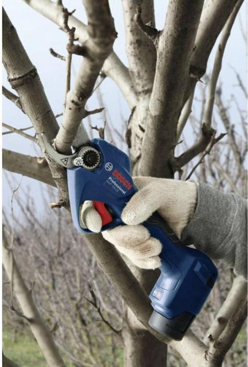 Actual product image Bosch Hausgeräte GGP 12V-25 (solo C) 06008D8101