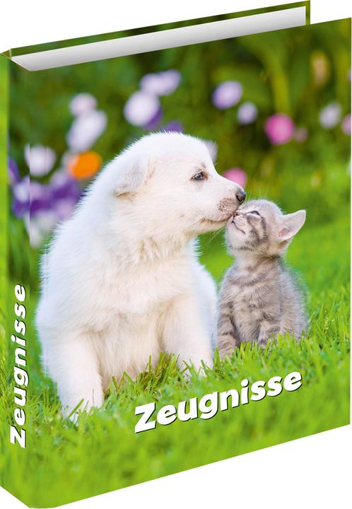 Actual product image Rnk Report card ring binder "Dog & Cat", 4 ring mechanism, DIN A4, 250 x 315 mm (A4, 250 mm, 1 Piece)