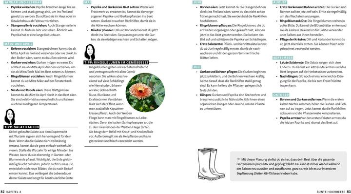 Produktbild Bunte Beete - Einfach gärtnern mit intensiver Bepflanzung in Hochbeet und Freiland (Deutsch, Saskia Voigt, 2025)