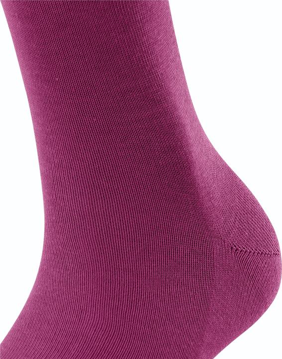 Produktbild Falke Family SO (Einzelpack, 39 - 42)