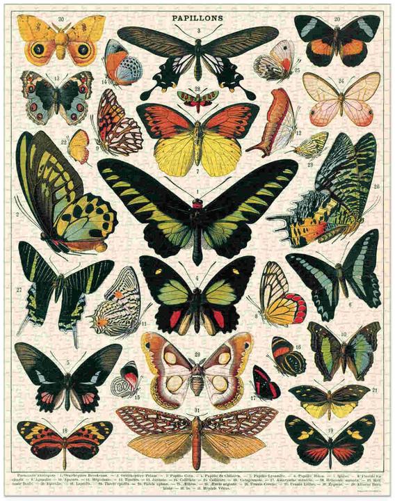 Actual product image Cavallini Butterflies butterflies (1000 pieces)