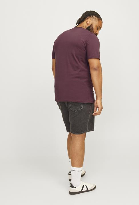 Immagine prodotto Jack & Jones Jjecaleb Varsity Tee Ss O-Neck Noos Pls (XXL)