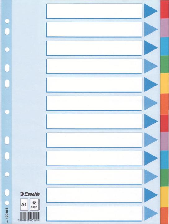 Image du produit Esselte Registre en carton coloré