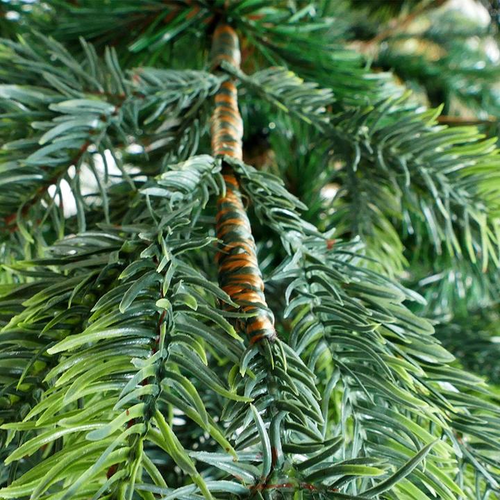 Produktbild Gartenpirat Künstlicher Weihnachtsbaum, 150cm (150 cm)