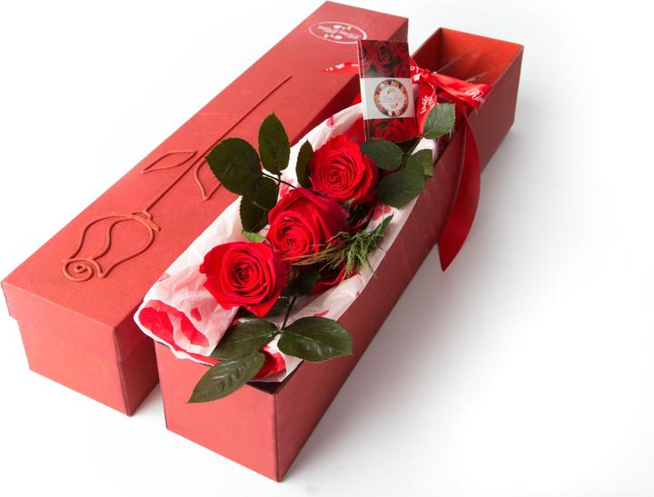 Rosas Rivas Stielrose Premium 3-köpfig (56 cm)