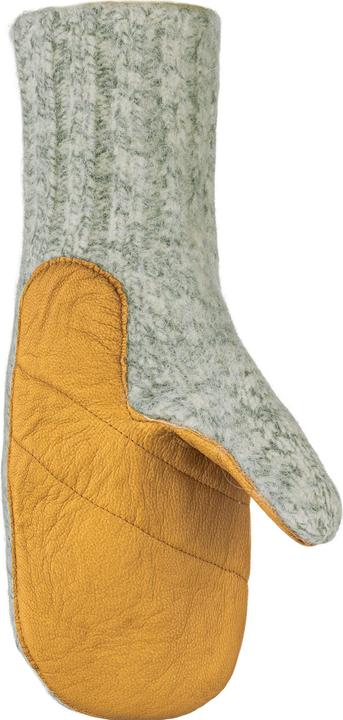 Image du produit Salewa Gants en cuir Walk Wool (XL)