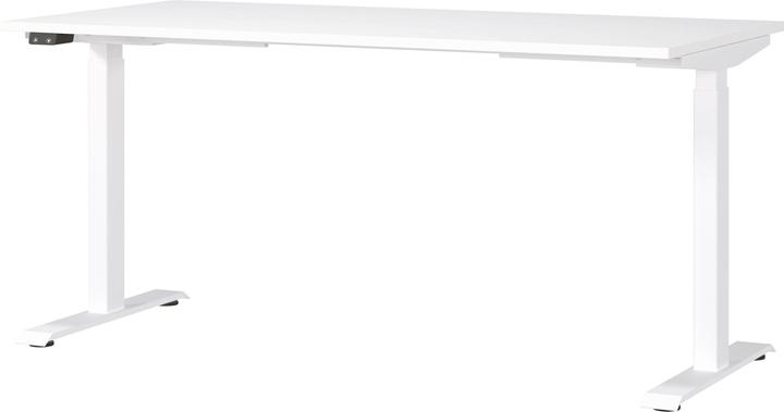 Image du produit Novel Fly (160 x 72 cm)