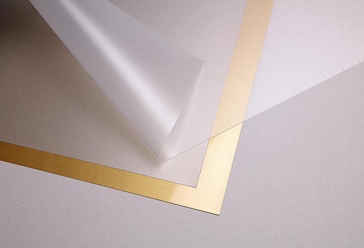 Actual product image Clairefontaine Polypro paquet 10F 50x70cm - Vert (1 x)