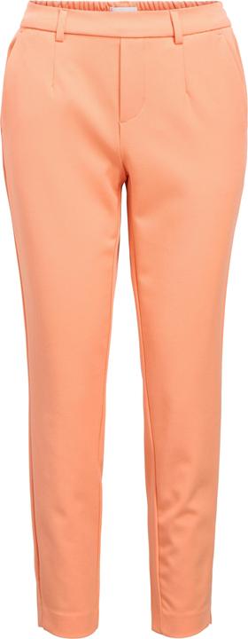 Object OBJLISA Hose (34)