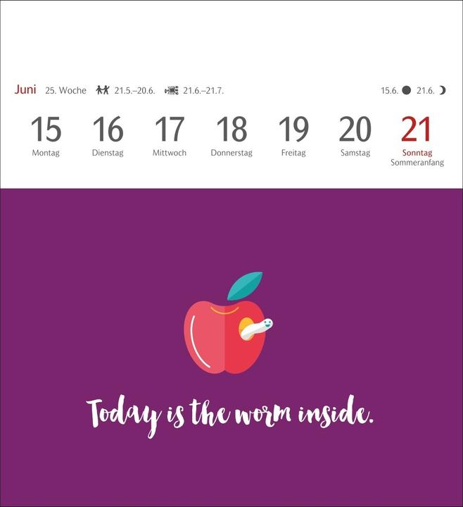 Produktbild Harenberg Now I know how the rabbit runs Postkartenkalender 2026 - 53 denglische Sprüche und Spri (Englisch, Deutsch)
