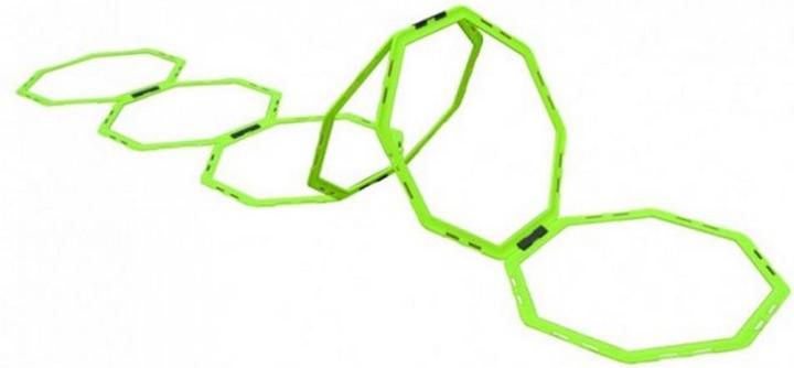 Cartasport Agility Leiter Octa Training Set 12Erpack