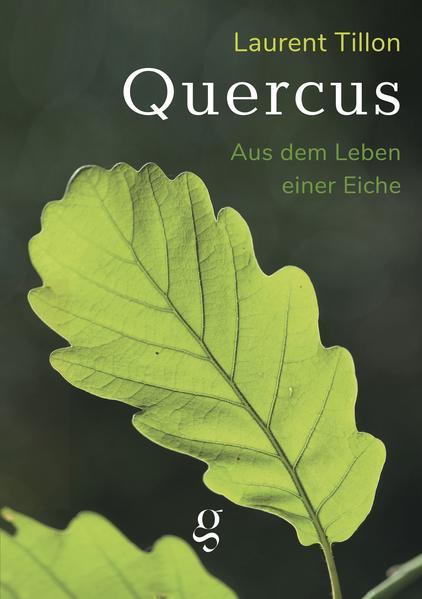 Produktbild Quercus - Aus dem Leben einer Eiche (Deutsch, Laurent Tillon, Laura Strack, 2022)