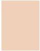 Actual product image L'Oréal Paris true match (Rose)